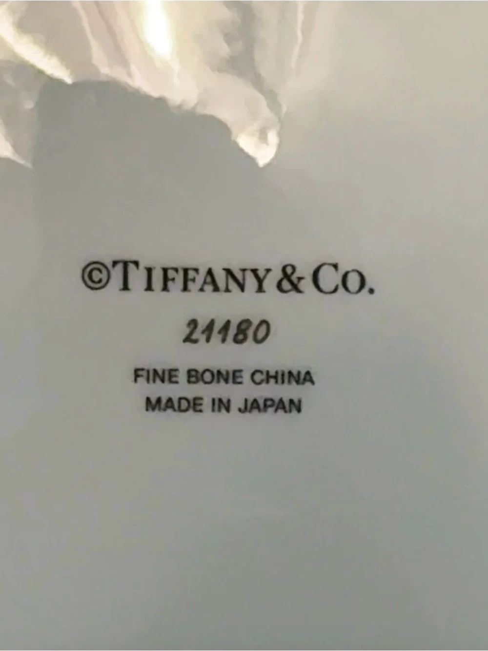 Brand new Tiffany & Co Dog Bowl in Large size - Picture 5 of 8